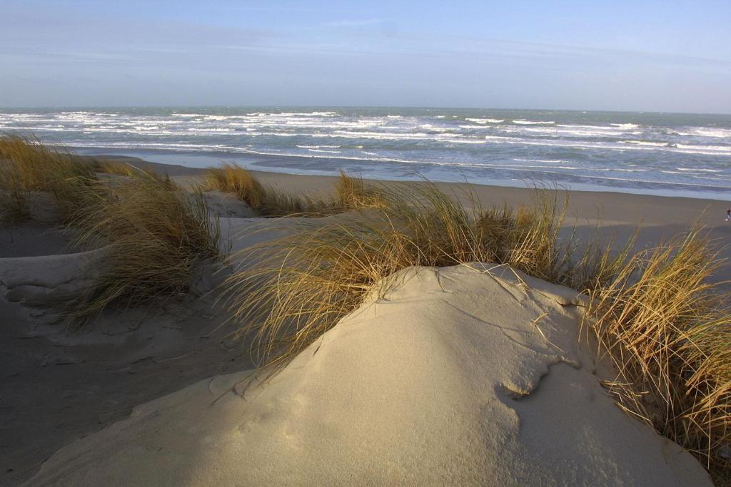 Logis Auberge De La Dune - Hotel & Restaurant Le Crotoy Kültér fotó